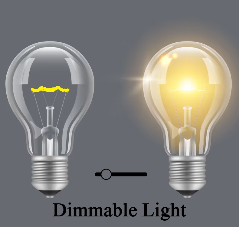 DSI Dimmable Lighting